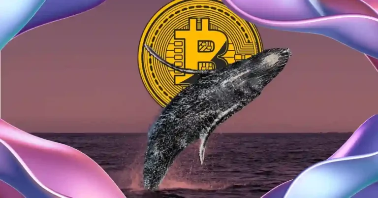 Bitcoin-Wale kaufen 75.000 BTC heimlich auf: Was bedeutet da